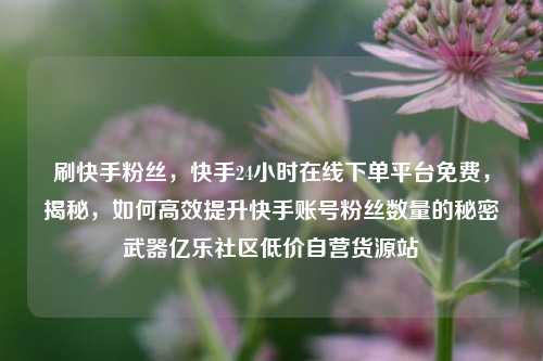 刷快手粉丝，快手24小时在线下单平台免费	，揭秘，如何高效提升快手账号粉丝数量的秘密武器亿乐社区低价自营货源站  第1张