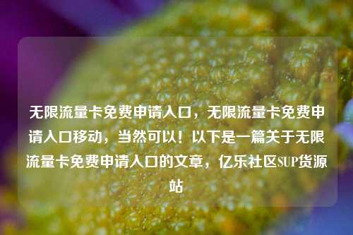 无限流量卡免费申请入口	，无限流量卡免费申请入口移动，当然可以！以下是一篇关于无限流量卡免费申请入口的文章，亿乐社区SUP货源站  第1张