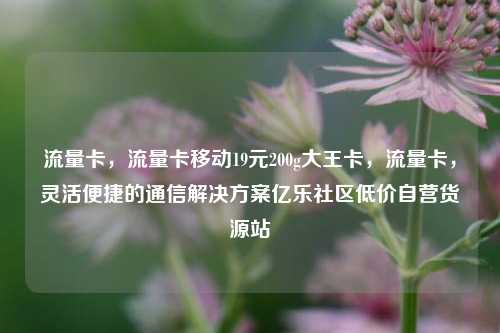 流量卡	，流量卡移动19元200g大王卡，流量卡，灵活便捷的通信解决方案亿乐社区低价自营货源站  第1张