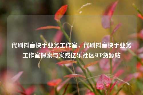 代刷抖音快手业务工作室，代刷抖音快手业务工作室探索与实践亿乐社区SUP货源站  第1张