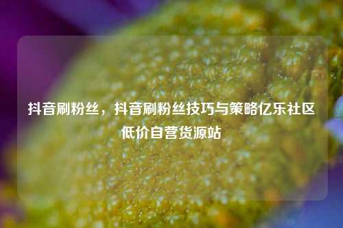 抖音刷粉丝，抖音刷粉丝技巧与策略亿乐社区低价自营货源站  第1张