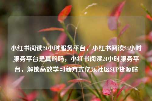 小红书阅读24小时服务平台，小红书阅读24小时服务平台是真的吗，小红书阅读24小时服务平台，解锁高效学习新方式亿乐社区SUP货源站  第1张