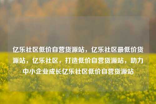 亿乐社区低价自营货源站，亿乐社区最低价货源站，亿乐社区，打造低价自营货源站，助力中小企业成长亿乐社区低价自营货源站  第1张
