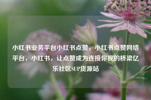 小红书业务平台小红书点赞，小红书点赞网络平台	，小红书，让点赞成为连接你我的桥梁亿乐社区SUP货源站  第1张
