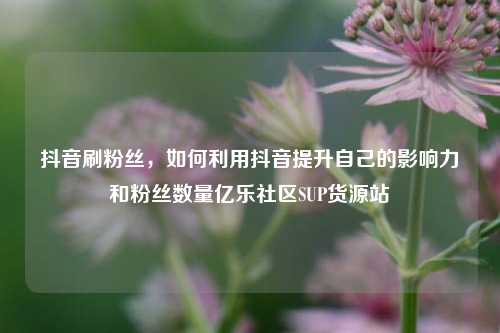 抖音刷粉丝	，如何利用抖音提升自己的影响力和粉丝数量亿乐社区SUP货源站  第1张