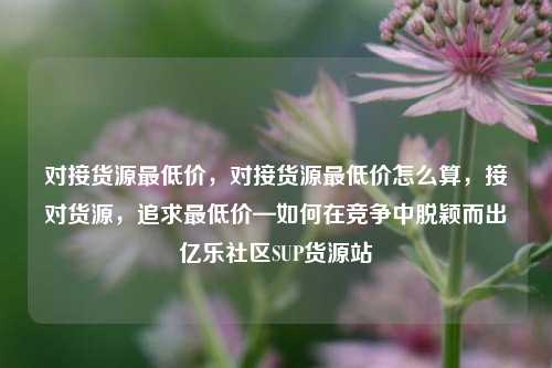 对接货源最低价	，对接货源最低价怎么算，接对货源，追求最低价—如何在竞争中脱颖而出亿乐社区SUP货源站  第1张
