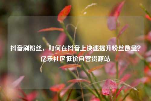 抖音刷粉丝，如何在抖音上快速提升粉丝数量？亿乐社区低价自营货源站  第1张