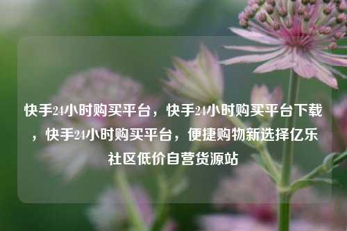 快手24小时购买平台，快手24小时购买平台下载	，快手24小时购买平台，便捷购物新选择亿乐社区低价自营货源站  第1张