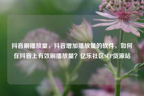 抖音刷播放量，抖音增加播放量的软件，如何在抖音上有效刷播放量？亿乐社区SUP货源站  第1张