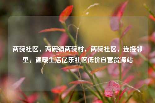 两碗社区，两碗镇两碗村，两碗社区	，连接邻里，温暖生活亿乐社区低价自营货源站  第1张