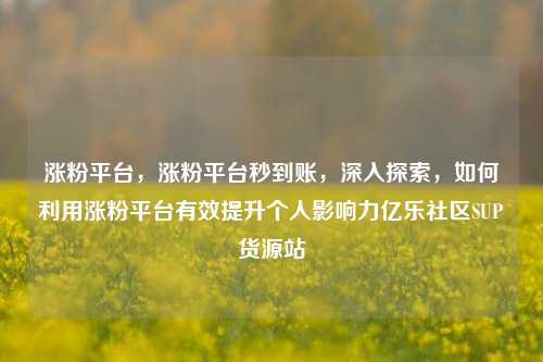 涨粉平台，涨粉平台秒到账，深入探索	，如何利用涨粉平台有效提升个人影响力亿乐社区SUP货源站  第1张