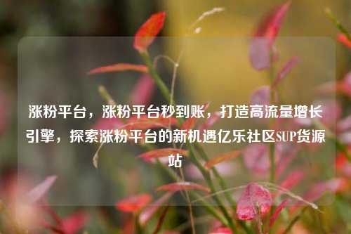 涨粉平台	，涨粉平台秒到账，打造高流量增长引擎，探索涨粉平台的新机遇亿乐社区SUP货源站  第1张