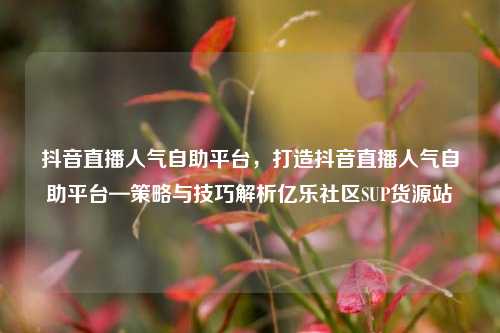 抖音直播人气自助平台，打造抖音直播人气自助平台—策略与技巧解析亿乐社区SUP货源站  第1张