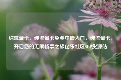 纯流量卡	，纯流量卡免费申请入口，纯流量卡，开启您的无限畅享之旅亿乐社区SUP货源站  第1张