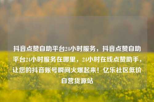 抖音点赞自助平台24小时服务，抖音点赞自助平台24小时服务在哪里，24小时在线点赞助手	，让您的抖音账号瞬间火爆起来！亿乐社区低价自营货源站  第1张