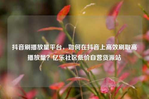 抖音刷播放量平台，如何在抖音上高效刷取高播放量？亿乐社区低价自营货源站  第1张