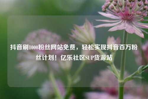 抖音刷1000粉丝网站免费	，轻松实现抖音百万粉丝计划！亿乐社区SUP货源站  第1张
