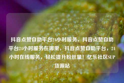 抖音点赞自助平台24小时服务	，抖音点赞自助平台24小时服务在哪里，抖音点赞自助平台，24小时在线服务	，轻松提升粉丝量！亿乐社区SUP货源站  第1张