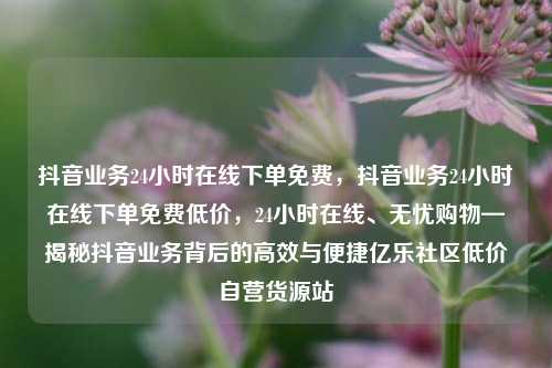 抖音业务24小时在线下单免费，抖音业务24小时在线下单免费低价	，24小时在线、无忧购物—揭秘抖音业务背后的高效与便捷亿乐社区低价自营货源站  第1张