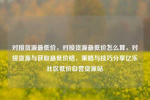 对接货源最低价，对接货源最低价怎么算，对接货源与获取最低价格	，策略与技巧分享亿乐社区低价自营货源站  第1张