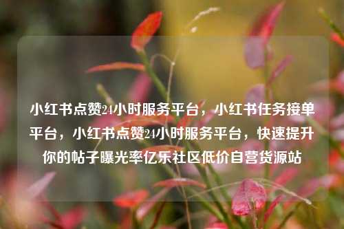 小红书点赞24小时服务平台，小红书任务接单平台	，小红书点赞24小时服务平台，快速提升你的帖子曝光率亿乐社区低价自营货源站  第1张