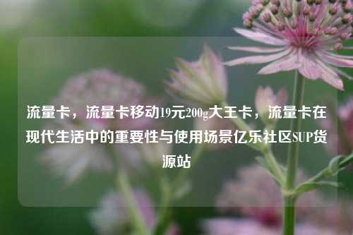 流量卡，流量卡移动19元200g大王卡，流量卡在现代生活中的重要性与使用场景亿乐社区SUP货源站  第1张