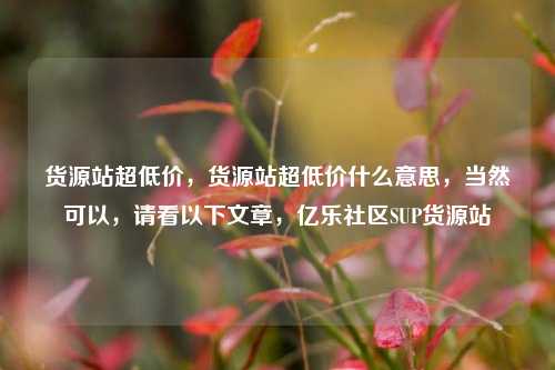 货源站超低价	，货源站超低价什么意思，当然可以，请看以下文章	，亿乐社区SUP货源站  第1张