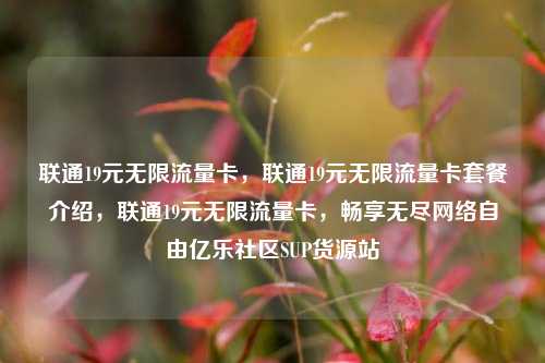 联通19元无限流量卡	，联通19元无限流量卡套餐介绍，联通19元无限流量卡，畅享无尽网络自由亿乐社区SUP货源站  第1张