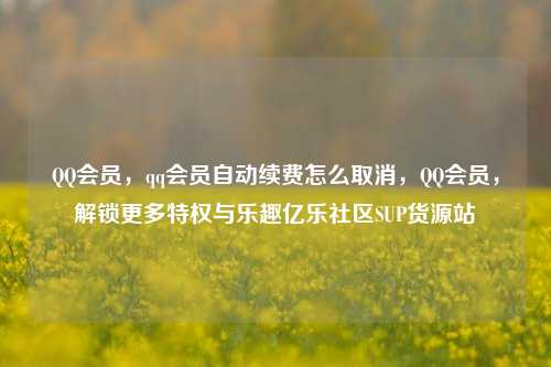 QQ会员，qq会员自动续费怎么取消	，QQ会员，解锁更多特权与乐趣亿乐社区SUP货源站  第1张