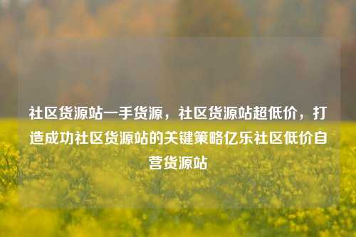 社区货源站一手货源，社区货源站超低价，打造成功社区货源站的关键策略亿乐社区低价自营货源站  第1张