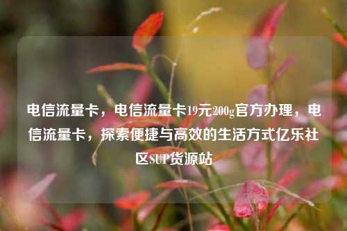 电信流量卡，电信流量卡19元200g官方办理	，电信流量卡，探索便捷与高效的生活方式亿乐社区SUP货源站  第1张