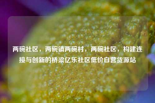 两碗社区	，两碗镇两碗村，两碗社区，构建连接与创新的桥梁亿乐社区低价自营货源站  第1张