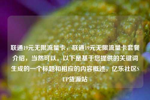 联通19元无限流量卡，联通19元无限流量卡套餐介绍	，当然可以	。以下是基于您提供的关键词生成的一个标题和相应的内容概述，亿乐社区SUP货源站  第1张