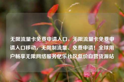 无限流量卡免费申请入口	，无限流量卡免费申请入口移动，无限制流量、免费申请！全球用户畅享无限网络服务亿乐社区低价自营货源站  第1张
