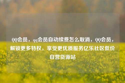 QQ会员	，qq会员自动续费怎么取消，QQ会员，解锁更多特权，享受更优质服务亿乐社区低价自营货源站  第1张