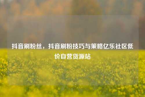 抖音刷粉丝，抖音刷粉技巧与策略亿乐社区低价自营货源站  第1张