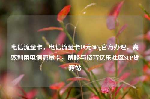 电信流量卡，电信流量卡19元200g官方办理，高效利用电信流量卡	，策略与技巧亿乐社区SUP货源站  第1张