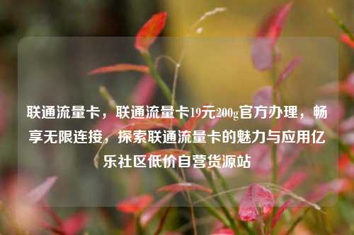 联通流量卡	，联通流量卡19元200g官方办理，畅享无限连接，探索联通流量卡的魅力与应用亿乐社区低价自营货源站  第1张