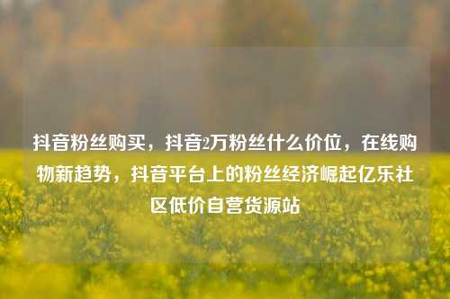 抖音粉丝购买，抖音2万粉丝什么价位，在线购物新趋势	，抖音平台上的粉丝经济崛起亿乐社区低价自营货源站  第1张