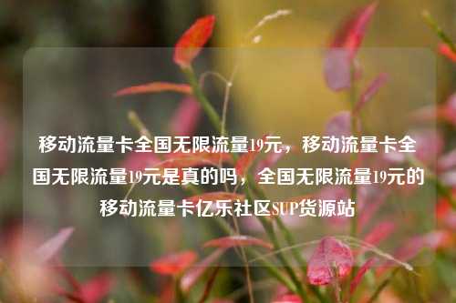 移动流量卡全国无限流量19元，移动流量卡全国无限流量19元是真的吗，全国无限流量19元的移动流量卡亿乐社区SUP货源站  第1张