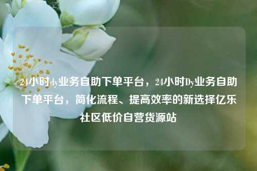 24小时dy业务自助下单平台，24小时Dy业务自助下单平台，简化流程、提高效率的新选择亿乐社区低价自营货源站  第1张