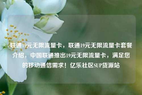 联通19元无限流量卡，联通19元无限流量卡套餐介绍，中国联通推出19元无限流量卡	，满足您的移动通信需求！亿乐社区SUP货源站  第1张