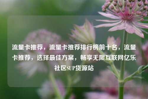 流量卡推荐，流量卡推荐排行榜前十名，流量卡推荐	，选择最佳方案，畅享无限互联网亿乐社区SUP货源站  第1张