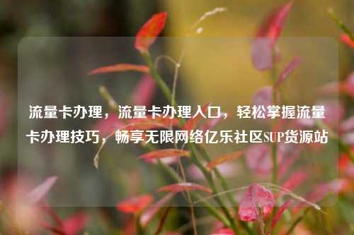 流量卡办理	，流量卡办理入口，轻松掌握流量卡办理技巧，畅享无限网络亿乐社区SUP货源站  第1张