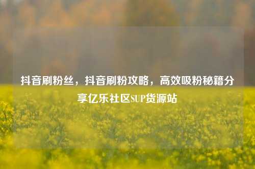 抖音刷粉丝，抖音刷粉攻略	，高效吸粉秘籍分享亿乐社区SUP货源站  第1张