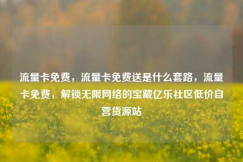 流量卡免费，流量卡免费送是什么套路，流量卡免费	，解锁无限网络的宝藏亿乐社区低价自营货源站  第1张