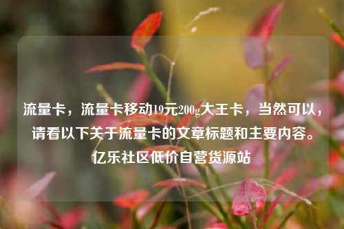 流量卡	，流量卡移动19元200g大王卡，当然可以，请看以下关于流量卡的文章标题和主要内容。亿乐社区低价自营货源站  第1张