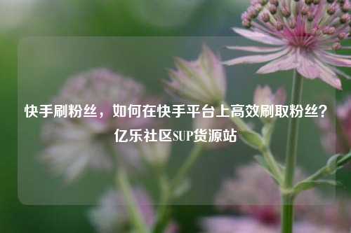 快手刷粉丝，如何在快手平台上高效刷取粉丝？亿乐社区SUP货源站  第1张