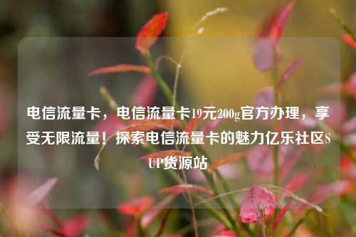 电信流量卡，电信流量卡19元200g官方办理	，享受无限流量！探索电信流量卡的魅力亿乐社区SUP货源站  第1张