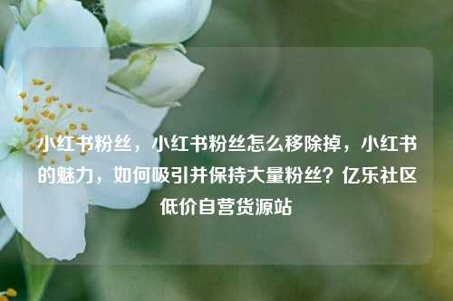 小红书粉丝，小红书粉丝怎么移除掉	，小红书的魅力，如何吸引并保持大量粉丝？亿乐社区低价自营货源站  第1张